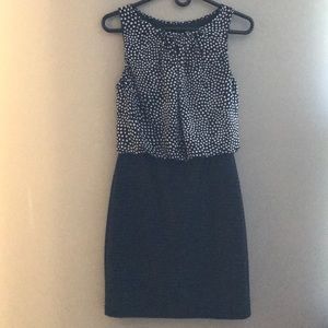 WHBM work dress- great condition
